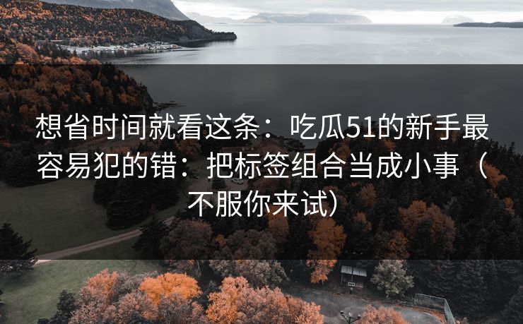 想省时间就看这条：吃瓜51的新手最容易犯的错：把标签组合当成小事（不服你来试）