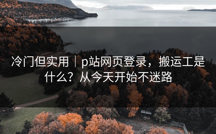 冷门但实用｜p站网页登录，搬运工是什么？从今天开始不迷路